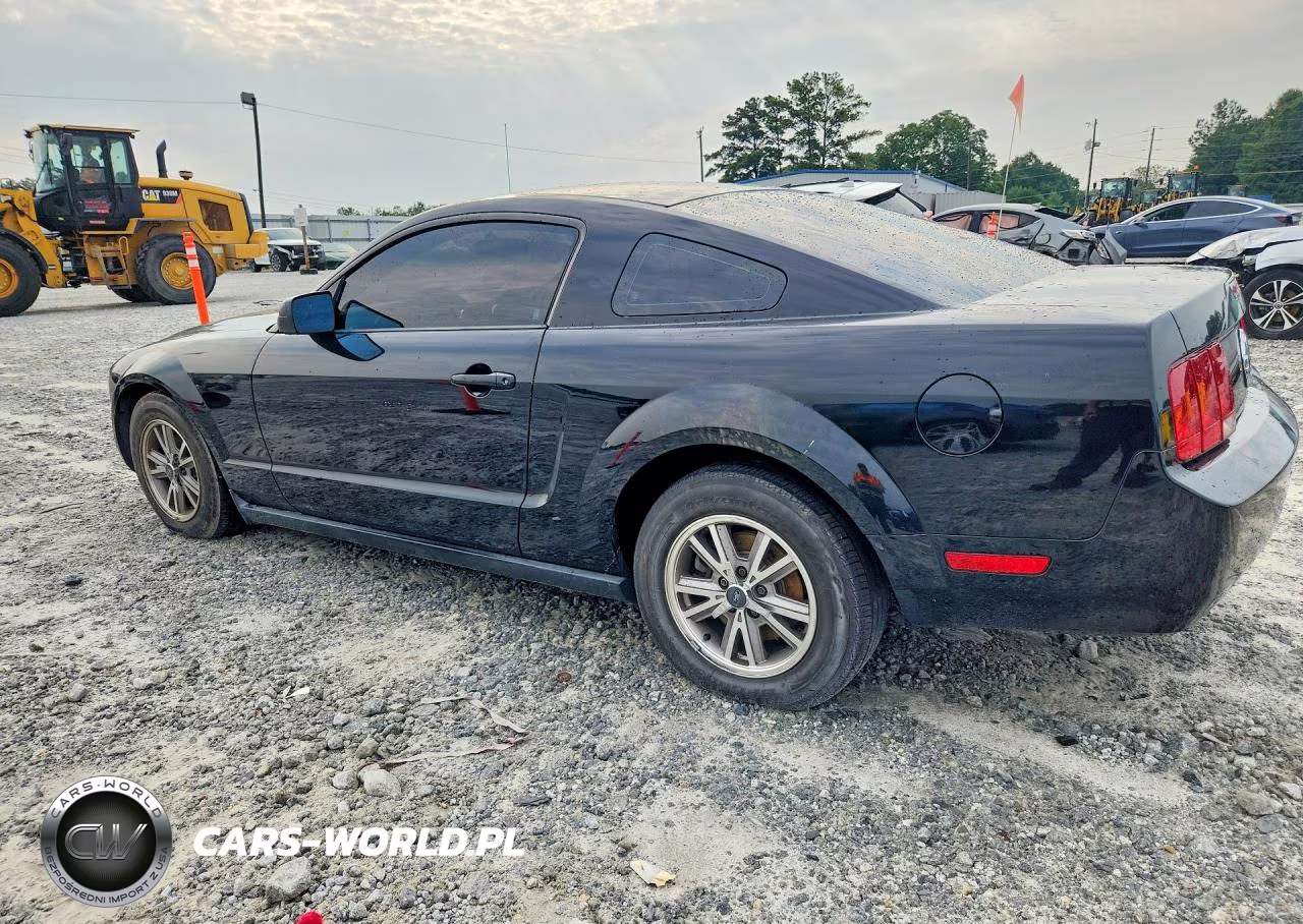 2006 Ford Mustang VIN:1ZVFT80N565159200 - 2