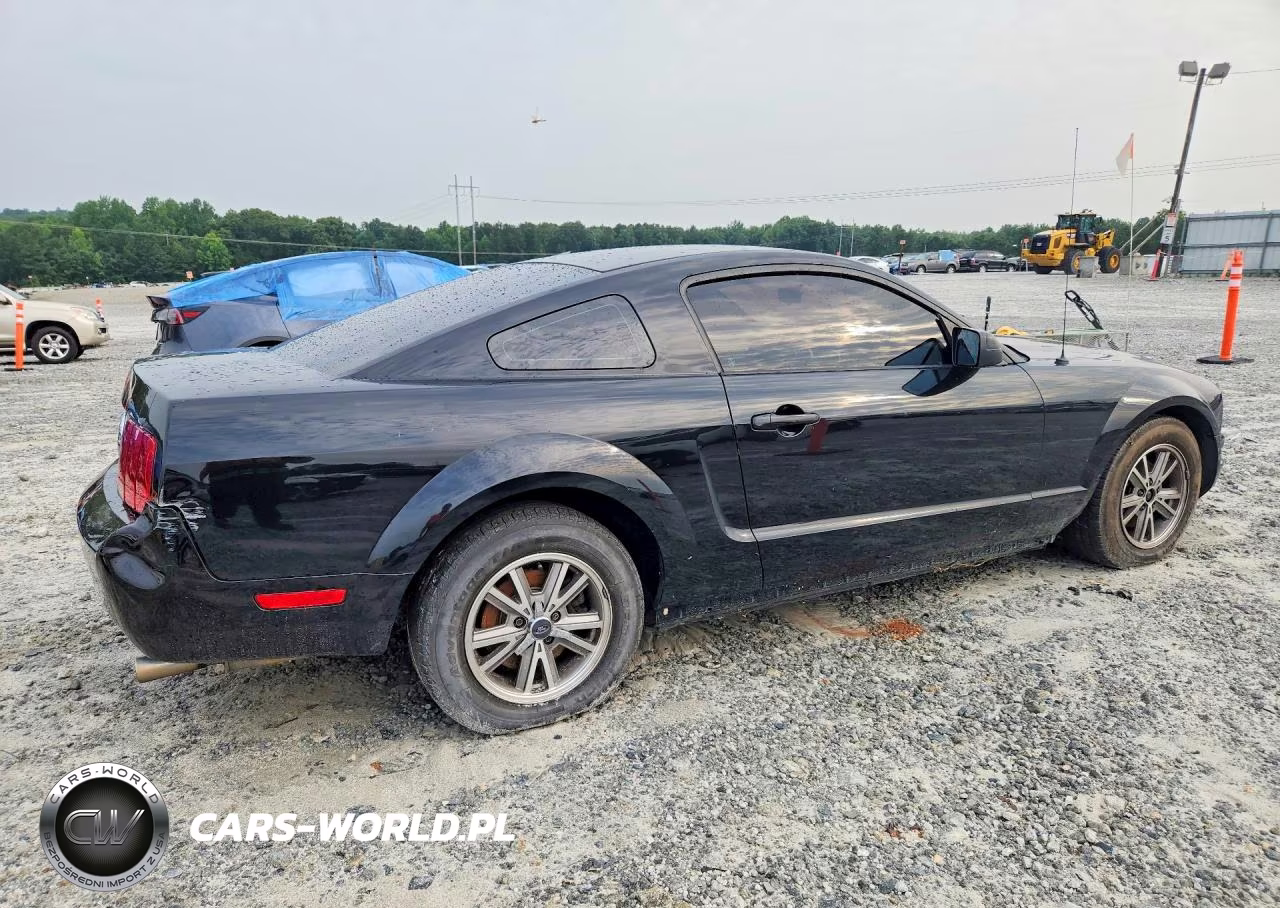 2006 Ford Mustang VIN:1ZVFT80N565159200 - 3