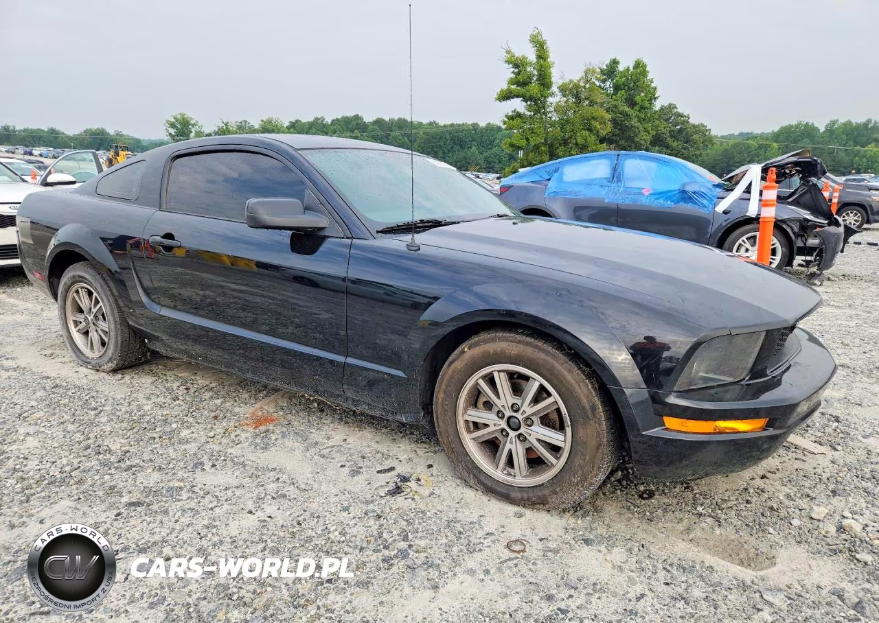 2006 Ford Mustang VIN:1ZVFT80N565159200 - 4