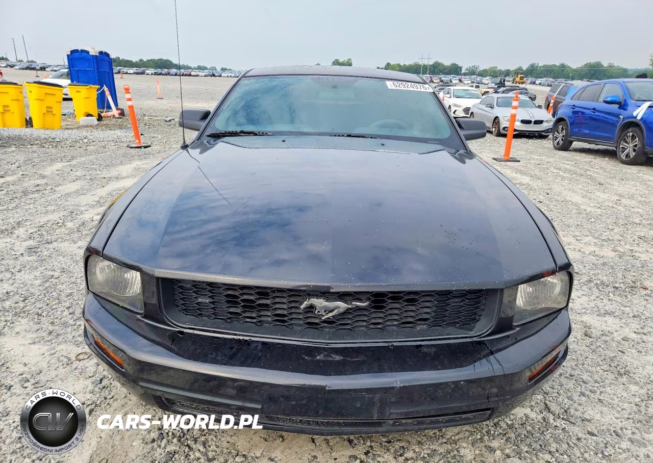 2006 Ford Mustang VIN:1ZVFT80N565159200 - 5