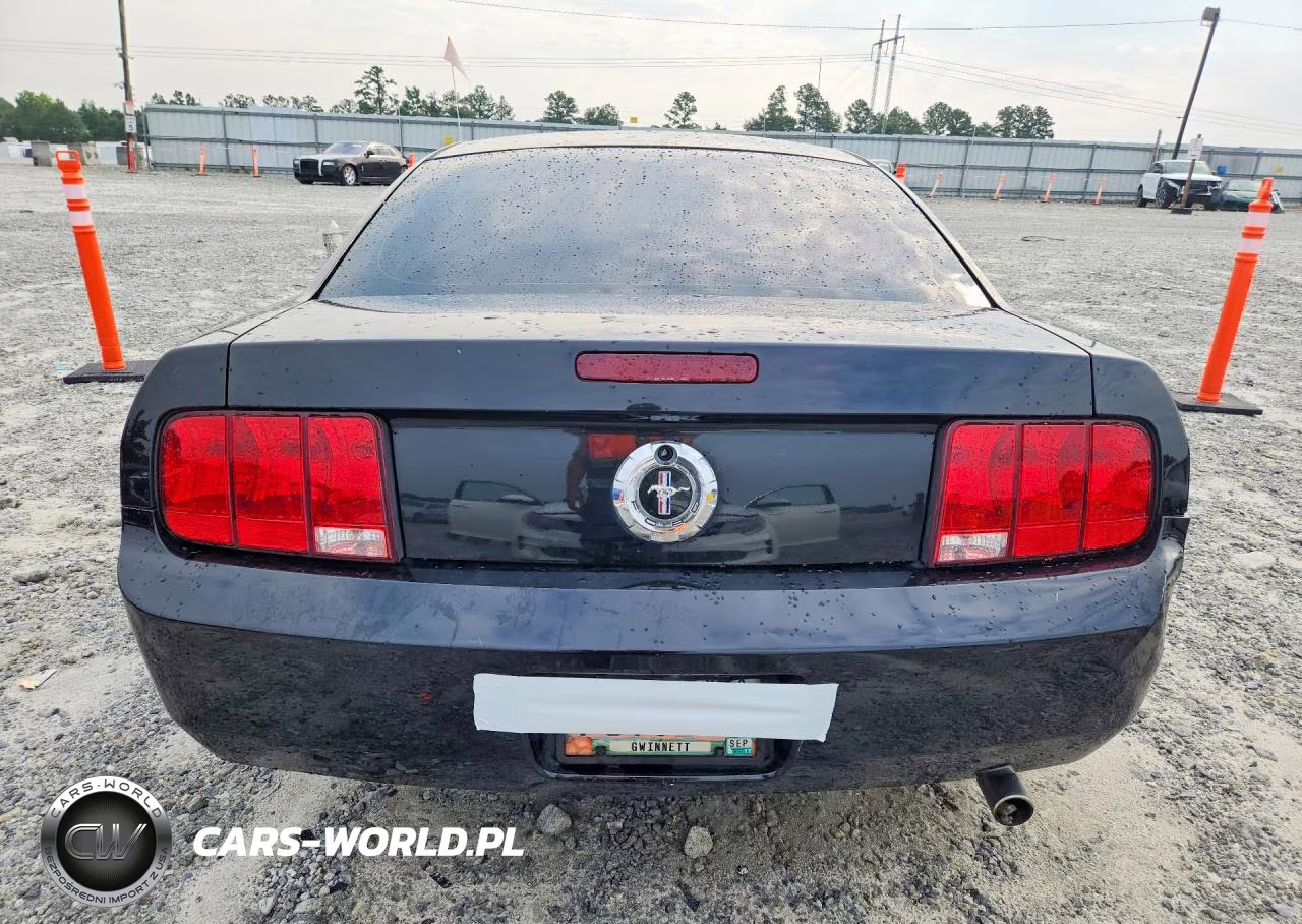 2006 Ford Mustang VIN:1ZVFT80N565159200 - 6