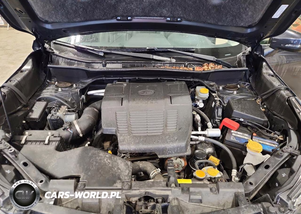 2019 Subaru Forester Limited VIN:JF2SKASC6KH429214 - 11