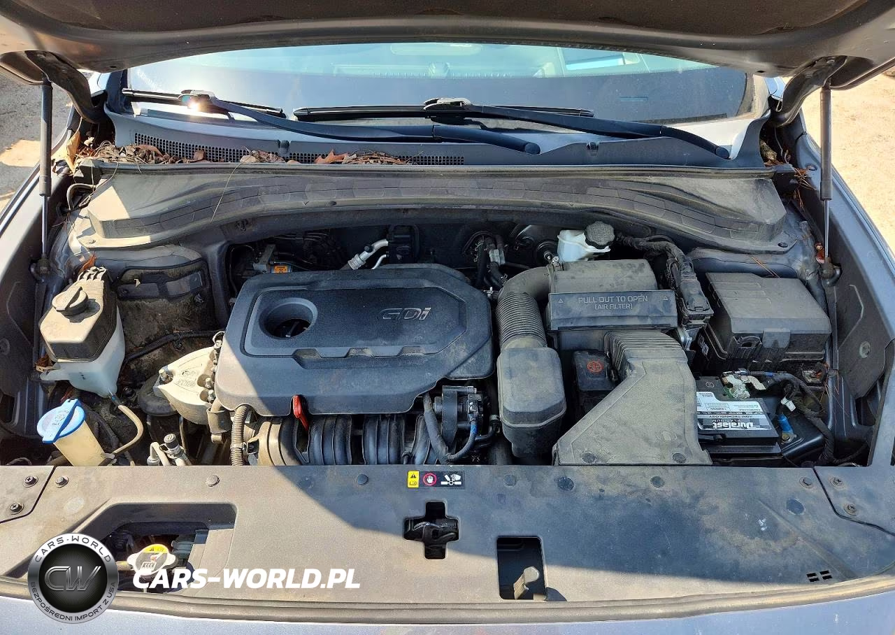 2020 Hyundai Santa Fe Limited VIN:5NMS53AD9LH150108 - 12