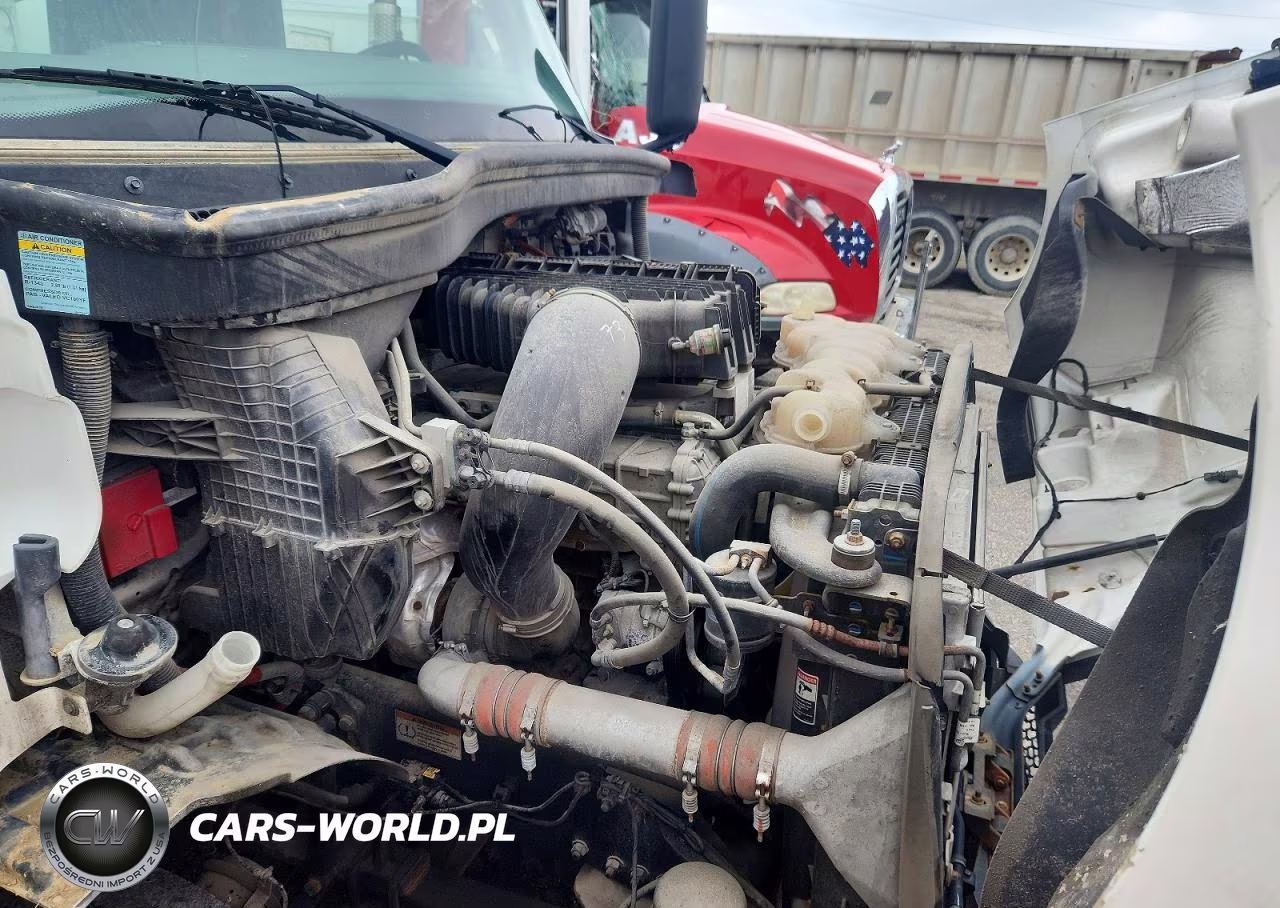2021 Freightliner Cascadia 116 Truck Cab And Chassis VIN:3AKJHTDV1MSMU6874 - 10