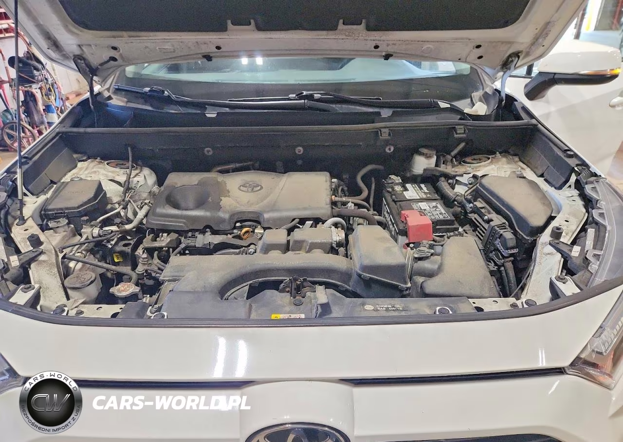 2023 Toyota Rav4 Xle VIN:2T3P1RFV5PC369656 - 12