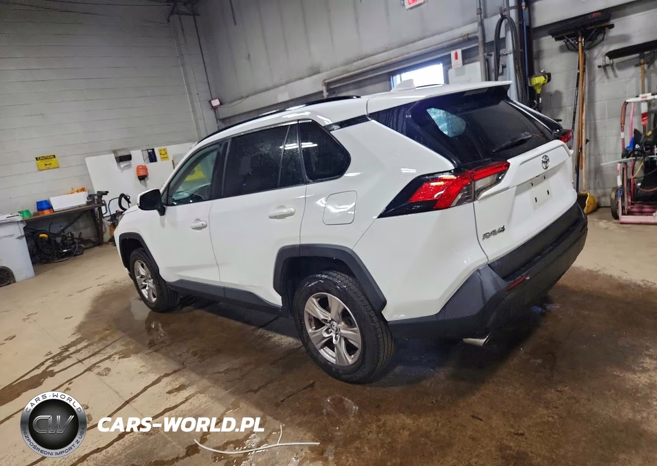 2023 Toyota Rav4 Xle VIN:2T3P1RFV5PC369656 - 2
