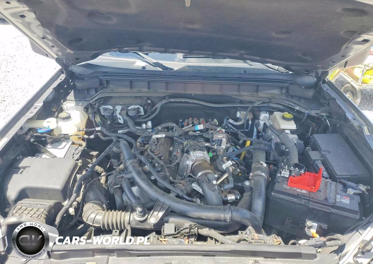 2024 Ford Bronco Badlands VIN:1FMEE9BP8RLA32708 - 12