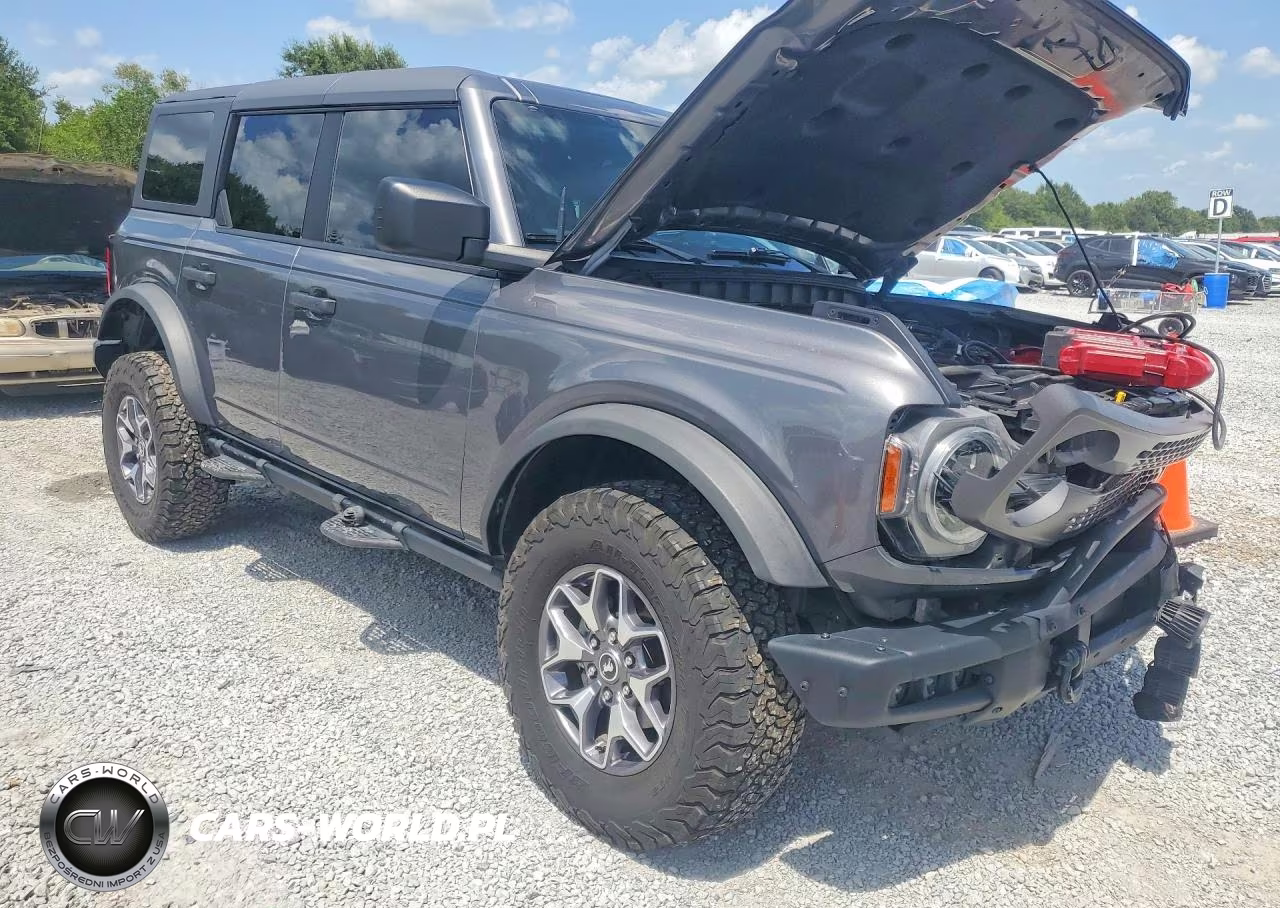 2024 Ford Bronco Badlands VIN:1FMEE9BP8RLA32708 - 4