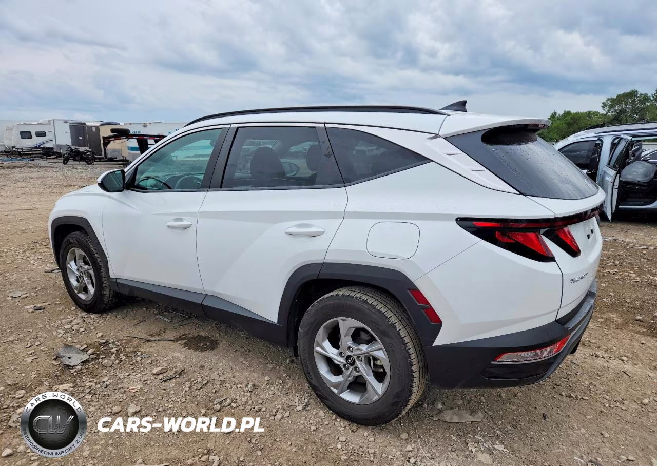 2024 Hyundai Tucson Sel VIN:5NMJBCDEXRH350724 - 2