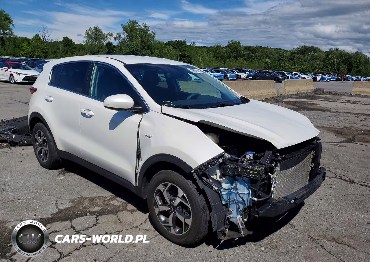 2022 Kia Sportage Lx VIN:KNDPMCAC4N7986211 - 4
