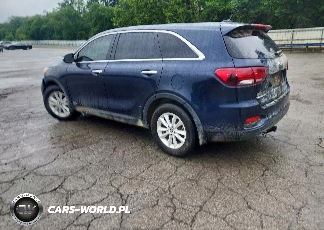 2020 Kia Sorento Lx VIN:5XYPGDA35LG667056 - 2