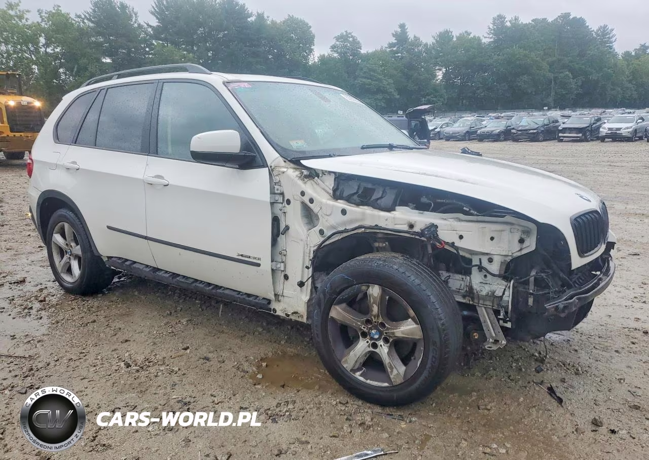 2009 BMW X5 xDrive30I VIN:5UXFE43519L266017 - 4