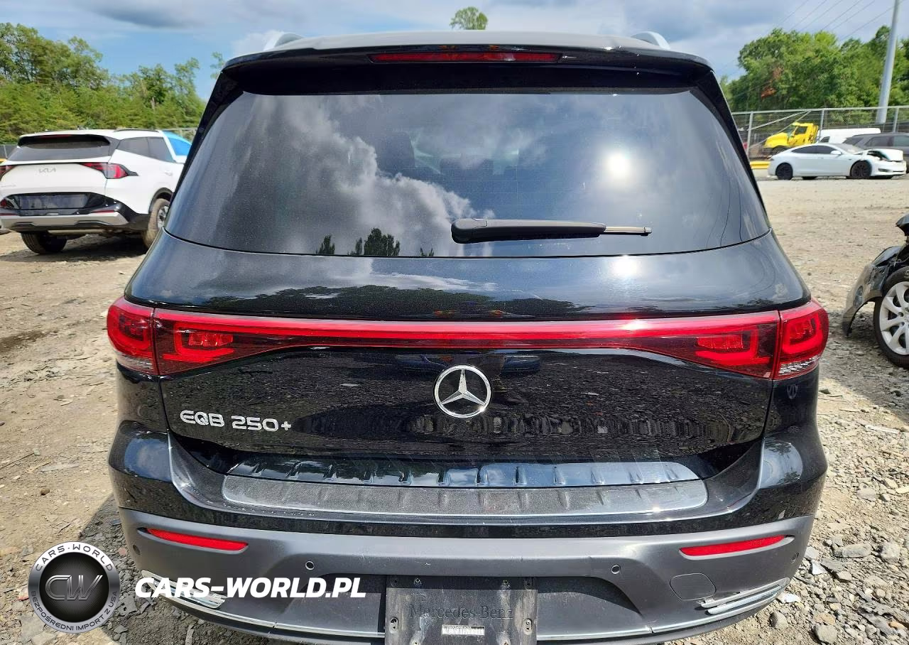 2023 Mercedes-Benz Eqb 250+ VIN:W1N9M0CB4PN034344 - 6