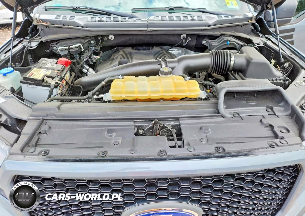 2019 Ford F150 Supercrew VIN:1FTEW1E45KFA72883 - 11