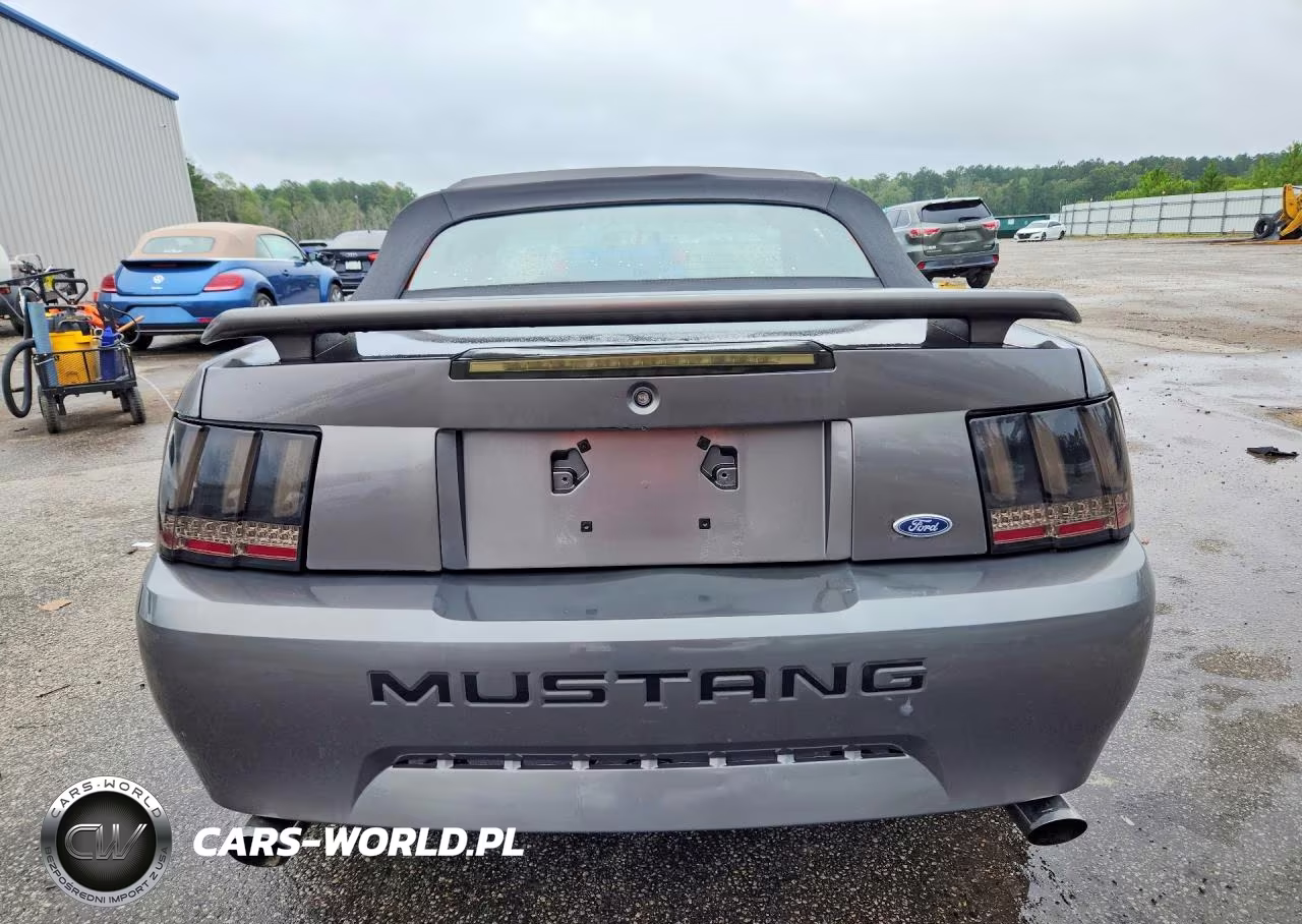 2004 Ford Mustang VIN:1FAFP44464F125118 - 6