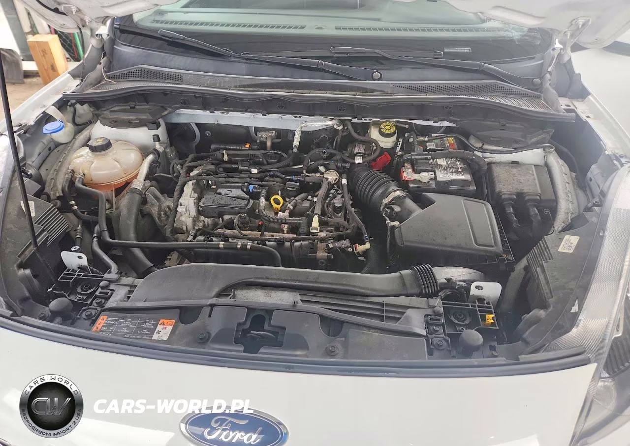 FORD ESCAPE SE VIN:1FMCU0G63MUB29369 - 12