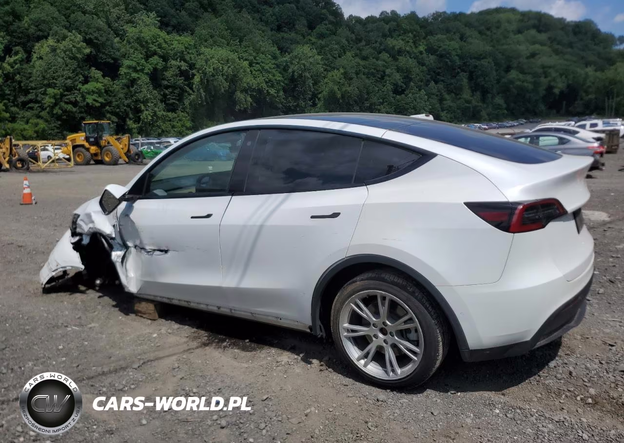 2022 Tesla Model Y VIN:7SAYGDEE5NF435411 - 2