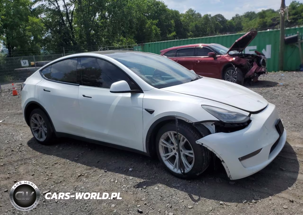 2022 Tesla Model Y VIN:7SAYGDEE5NF435411 - 4