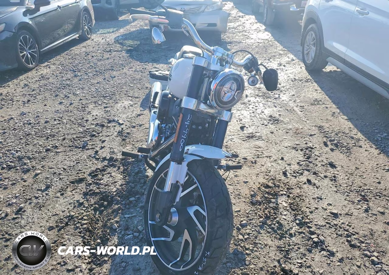 2021 Harley-Davidson Flsb VIN:1HD1YMJ15MB037517 - 2
