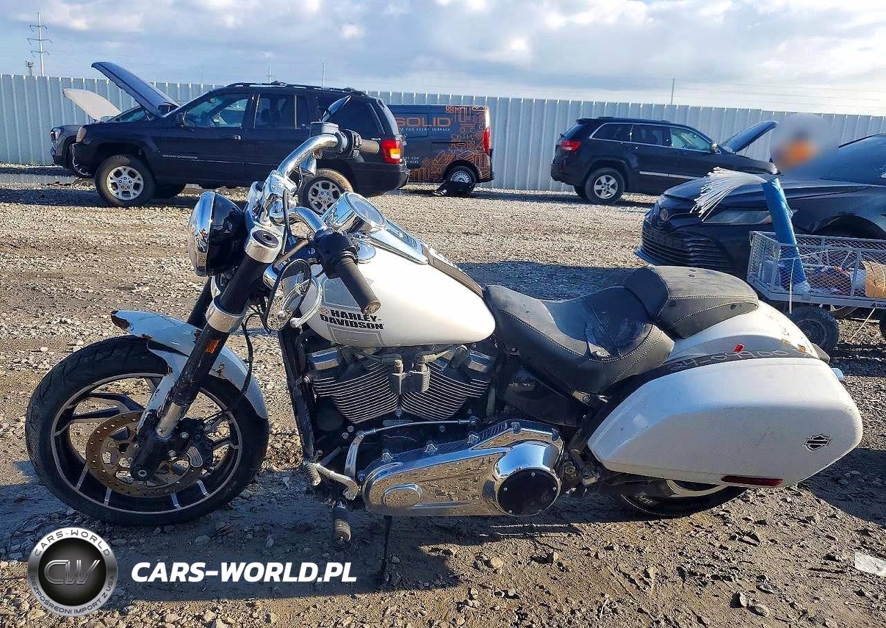 2021 Harley-Davidson Flsb VIN:1HD1YMJ15MB037517 - 3