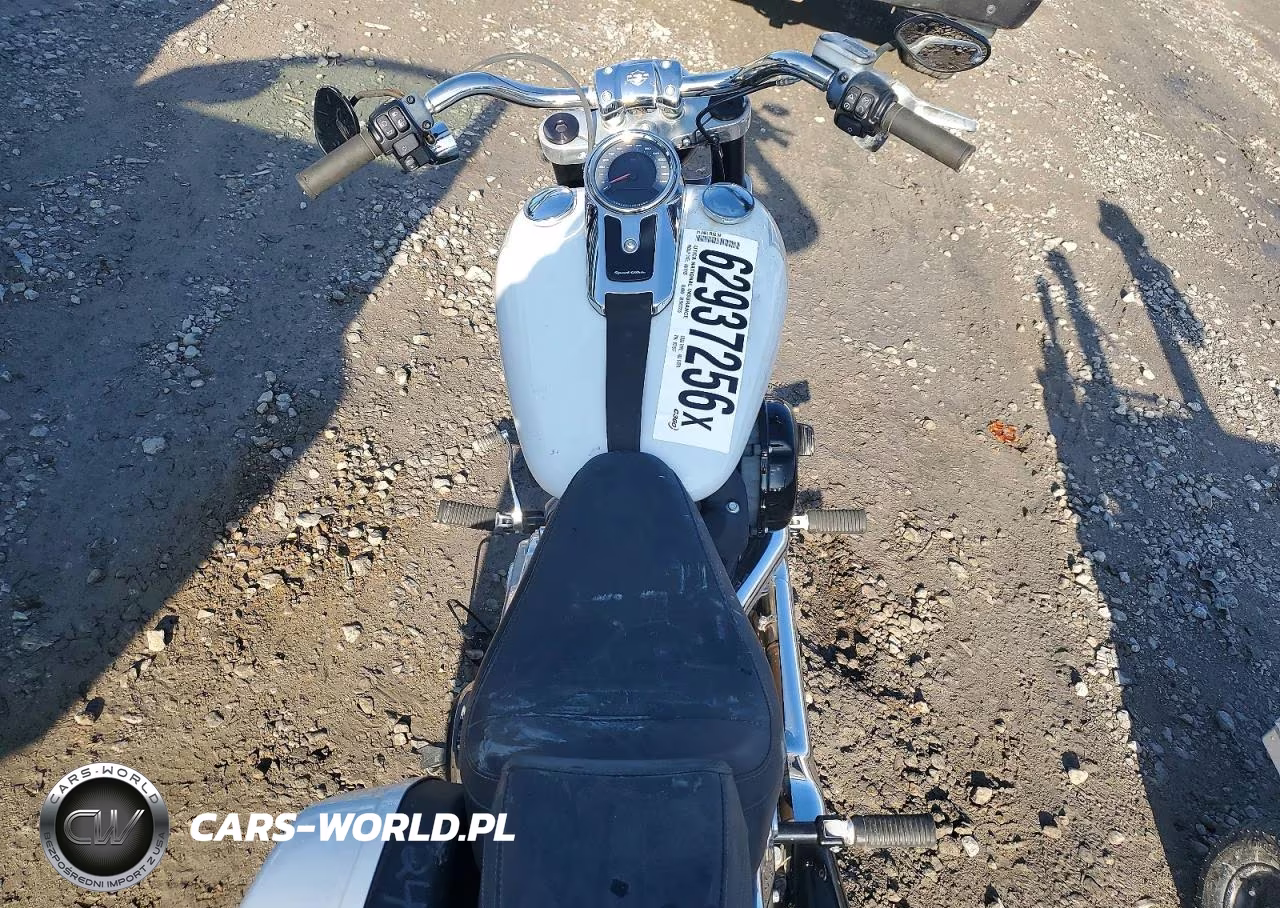 2021 Harley-Davidson Flsb VIN:1HD1YMJ15MB037517 - 6
