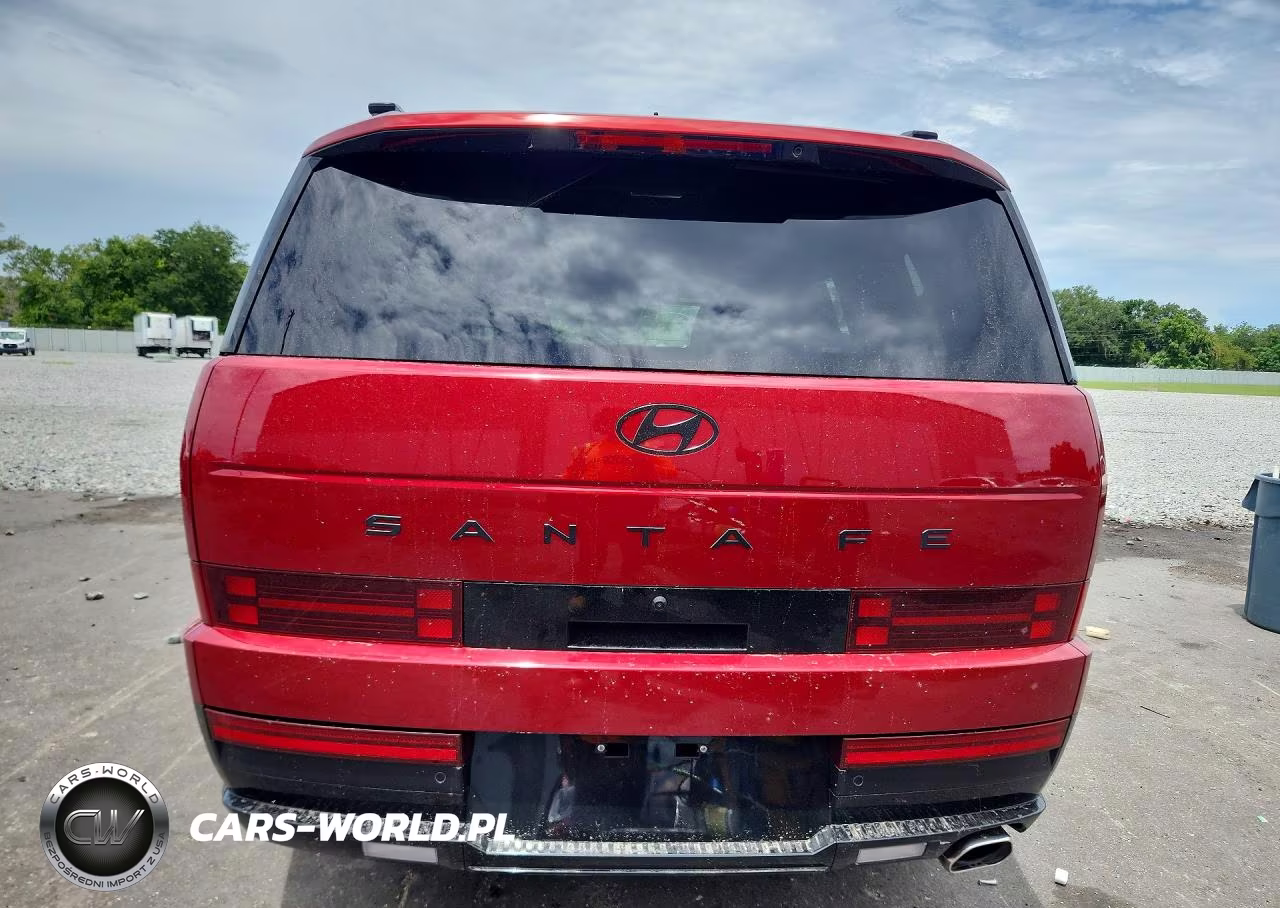 2025 Hyundai Santa Fe Calligraphy VIN:5NMP54GL4SH107613 - 6
