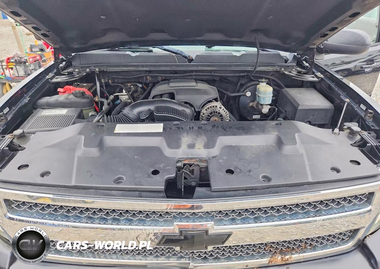 2009 Chevrolet Silverado K1500 VIN:3GCEK13M39G133218 - 11