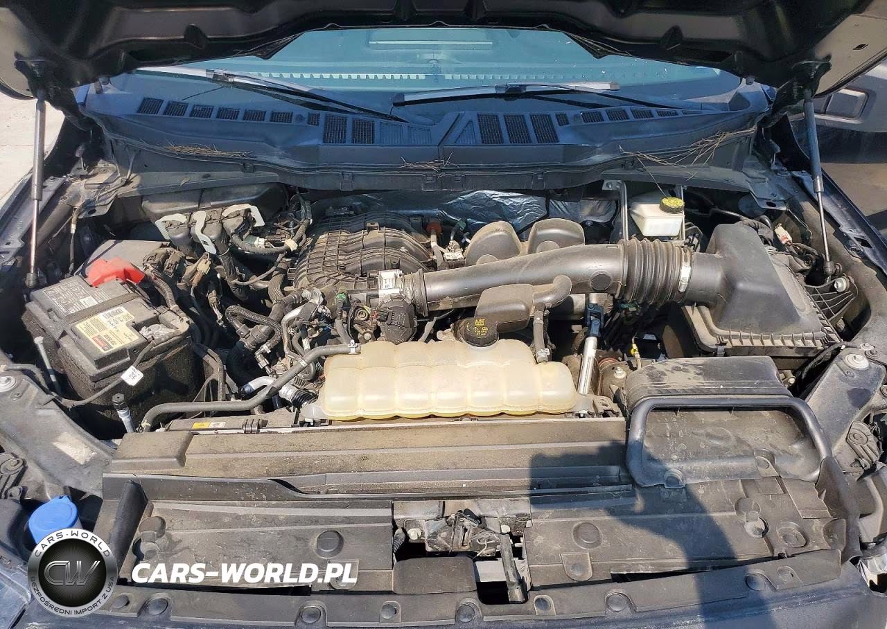 2023 Ford F150 Supercrew VIN:1FTEW1CB5PKE13618 - 11