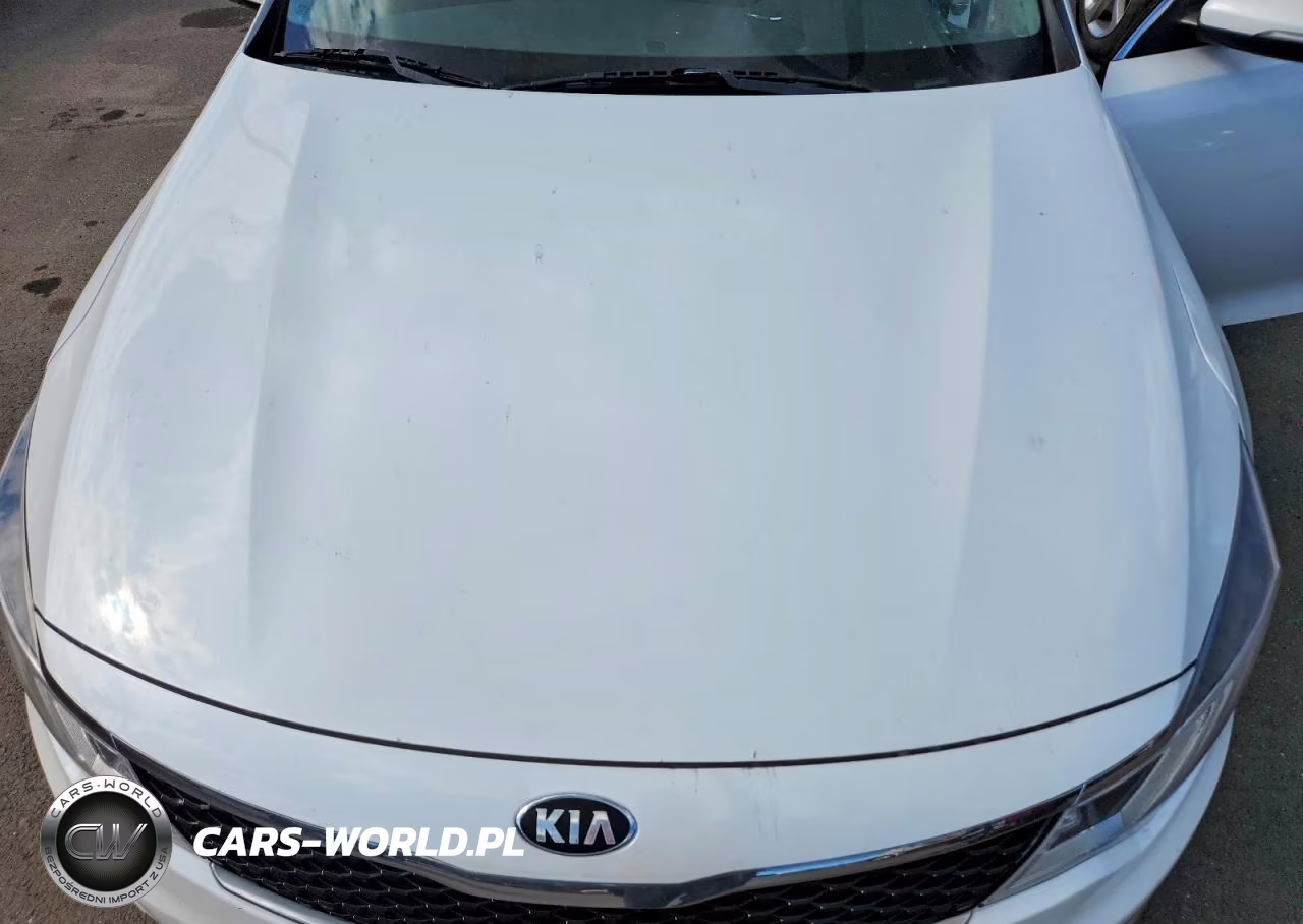 2016 Kia Optima Lx VIN:KNAGT4L39G5073560 - 11