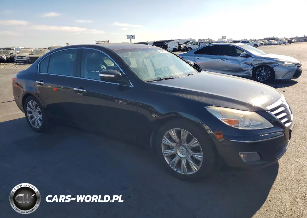 2009 Hyundai Genesis 3.8L VIN:KMHGC46E69U030251 - 4