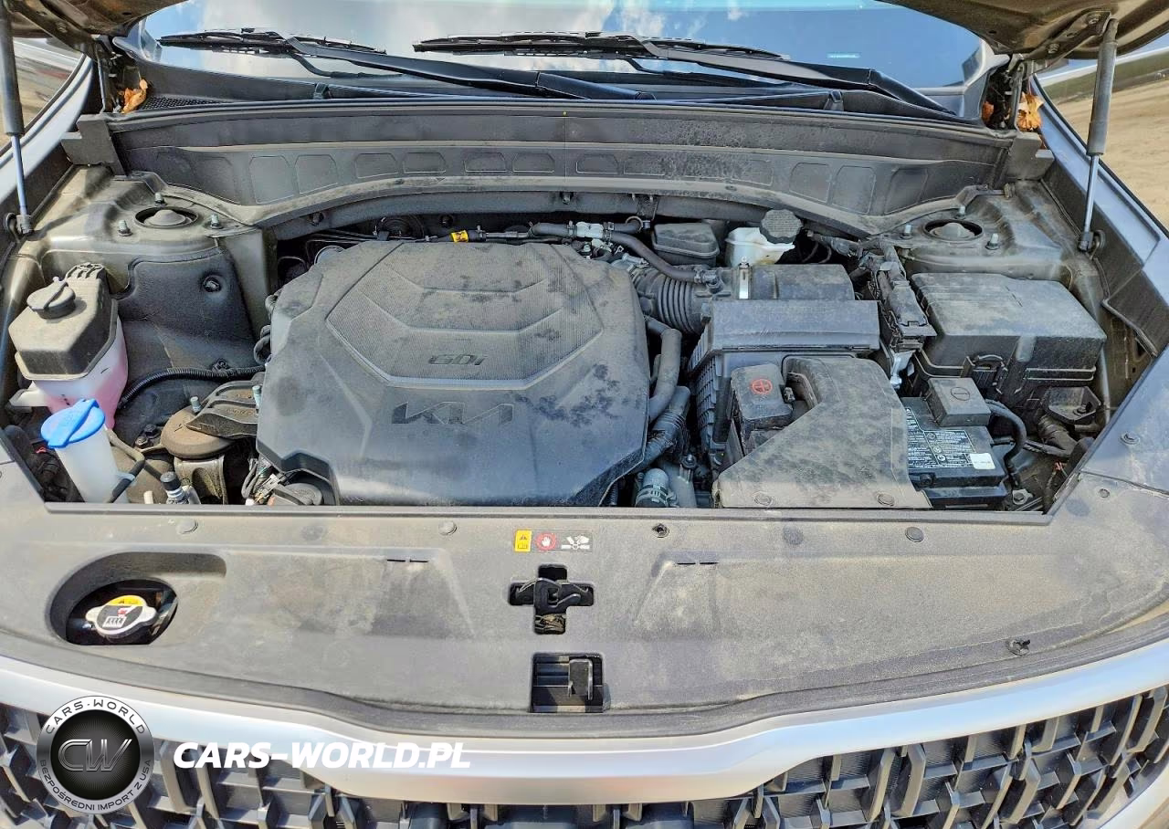 2023 Kia Telluride Ex VIN:5XYP3DGC8PG402138 - 12