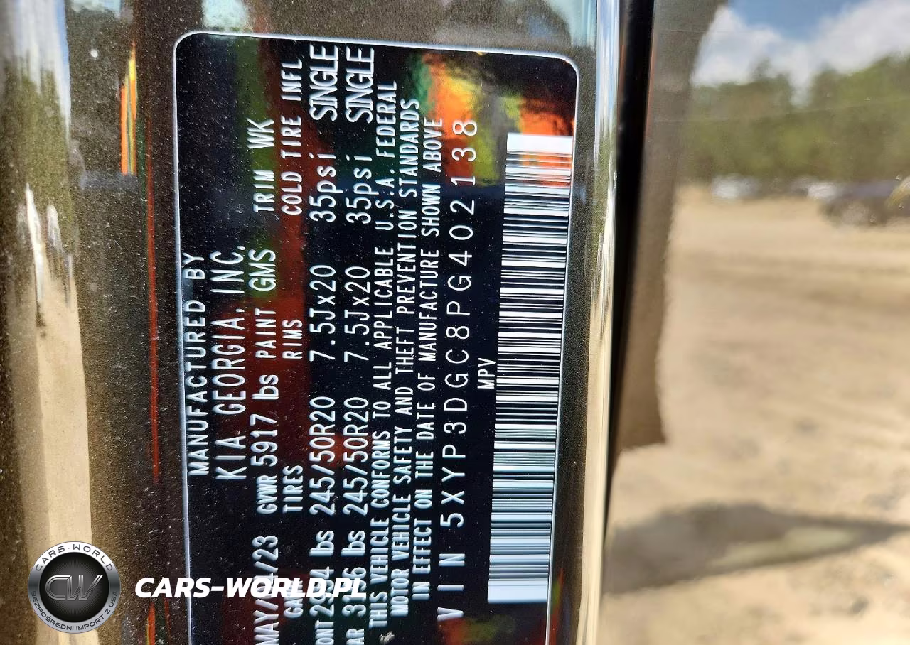2023 Kia Telluride Ex VIN:5XYP3DGC8PG402138 - 14