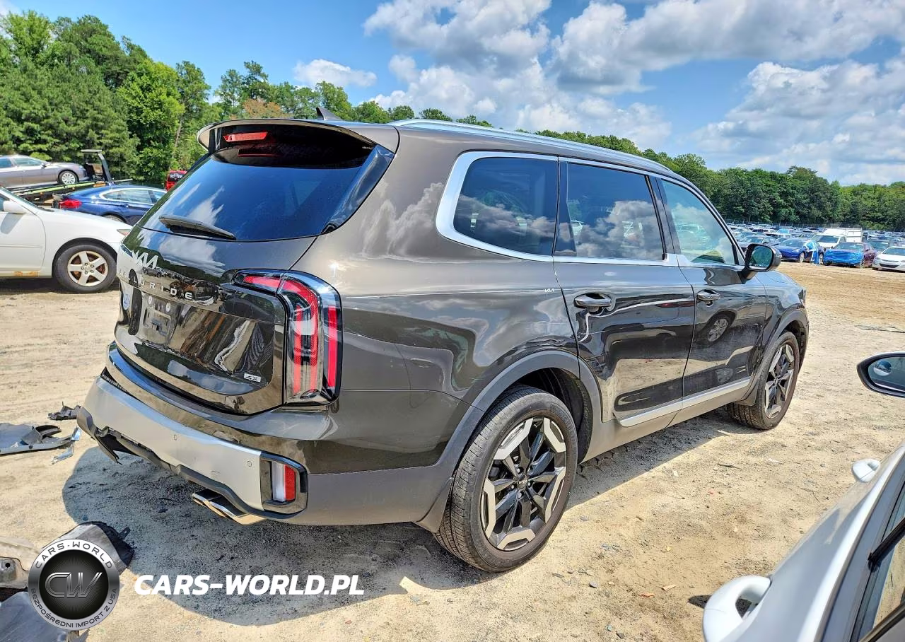 2023 Kia Telluride Ex VIN:5XYP3DGC8PG402138 - 3