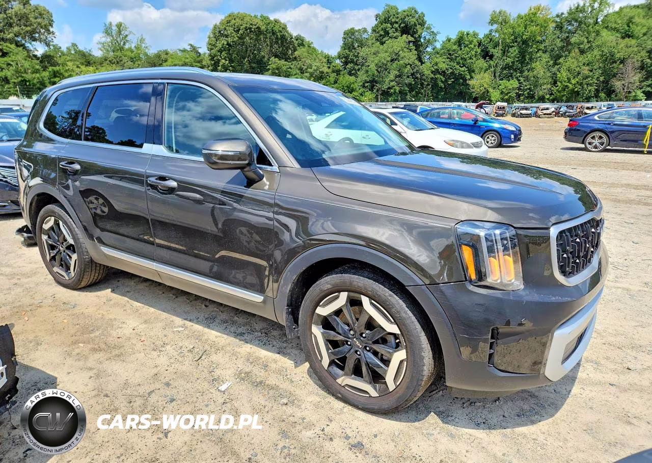 2023 Kia Telluride Ex VIN:5XYP3DGC8PG402138 - 4