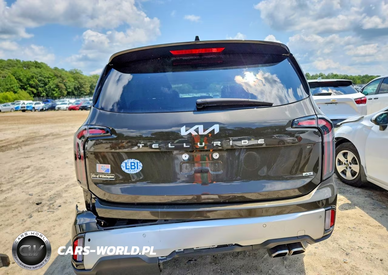 2023 Kia Telluride Ex VIN:5XYP3DGC8PG402138 - 6