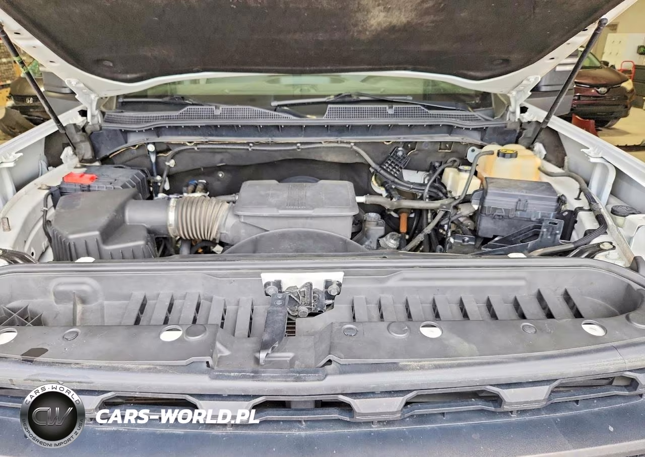 2020 Chevrolet Silverado K2500 Heavy Duty VIN:1GC4YLE7XLF110346 - 11