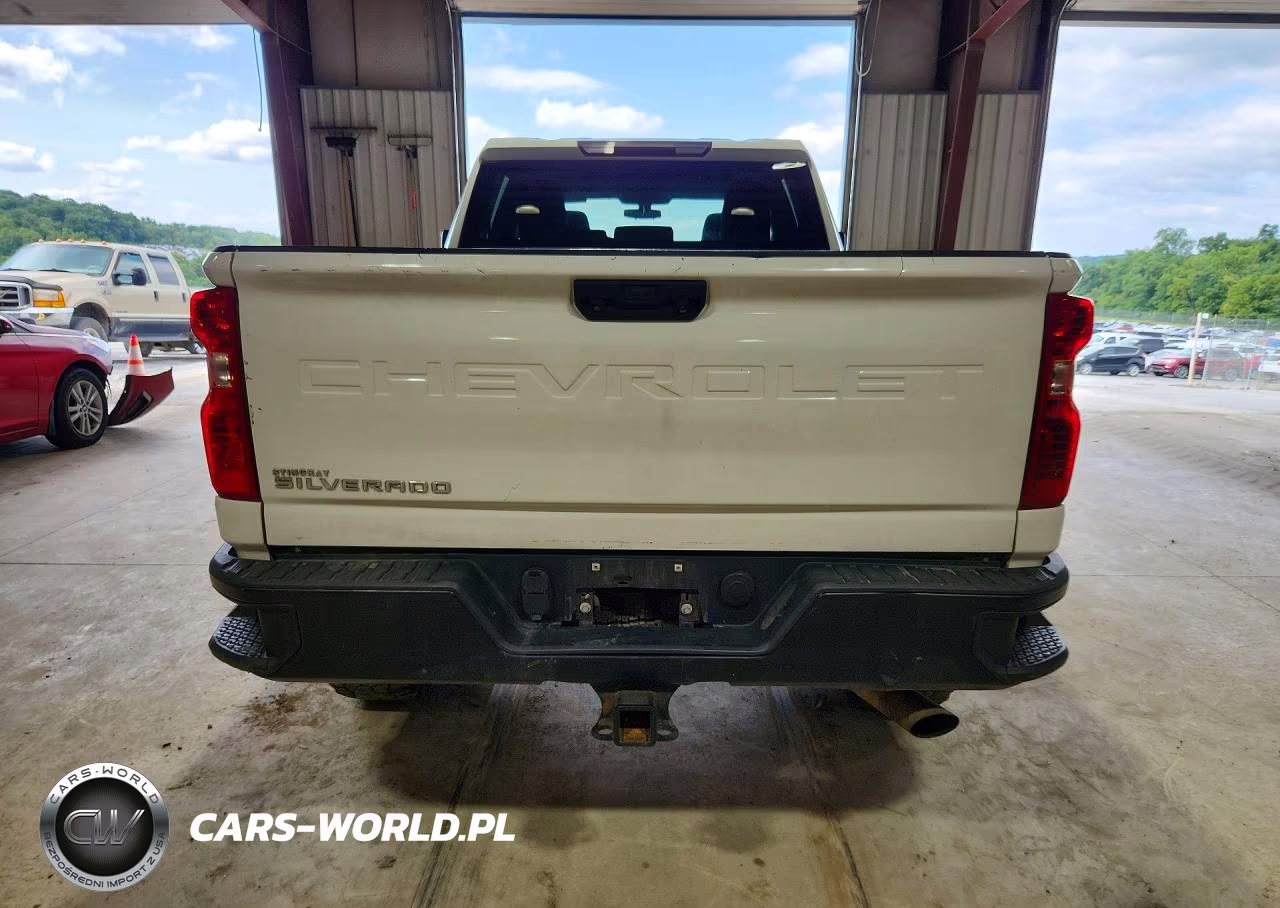 2020 Chevrolet Silverado K2500 Heavy Duty VIN:1GC4YLE7XLF110346 - 6