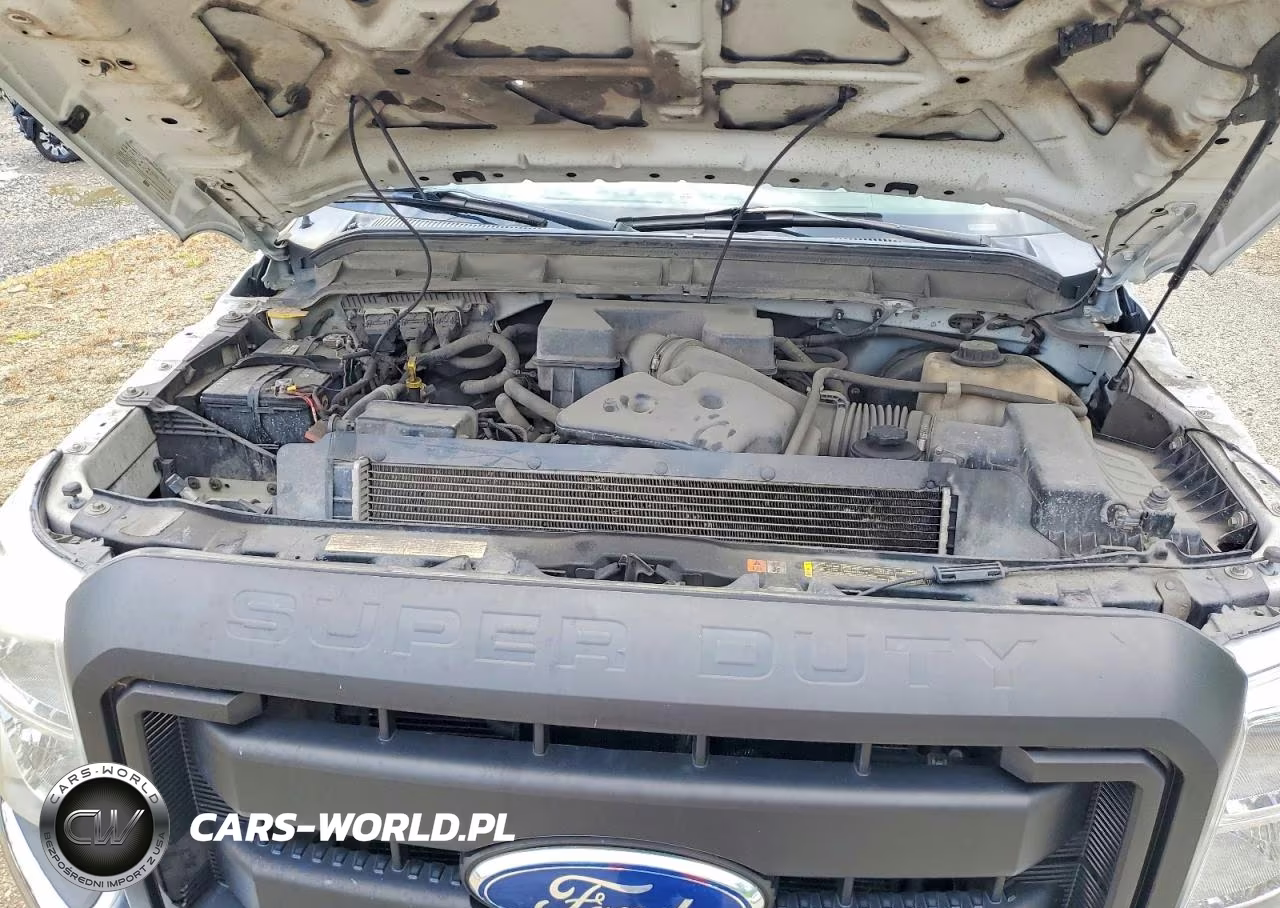 2011 Ford F250 Super Duty VIN:1FTBF2B67BEC37529 - 11