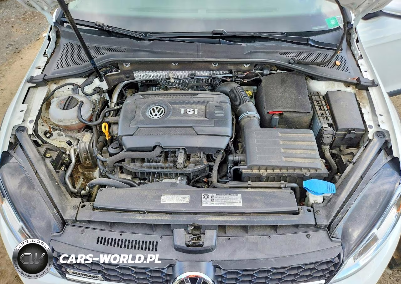 2017 Volkswagen Golf Alltrack S VIN:3VWM17AU4HM527974 - 11