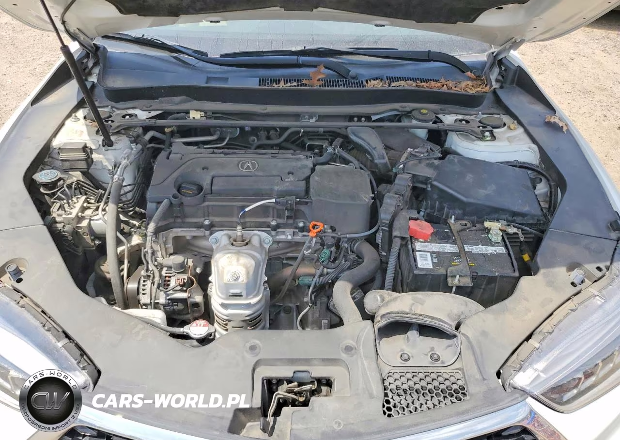 2018 Acura Tlx VIN:19UUB1F34JA011406 - 11