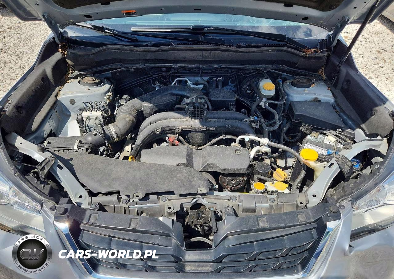 2018 Subaru Forester 2.5I Premium VIN:JF2SJAEC6JH572676 - 11