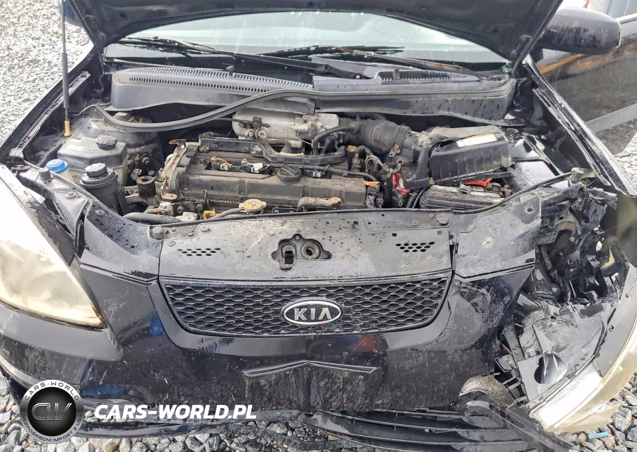 2006 Kia Rio Base VIN:KNADE123166136575 - 11