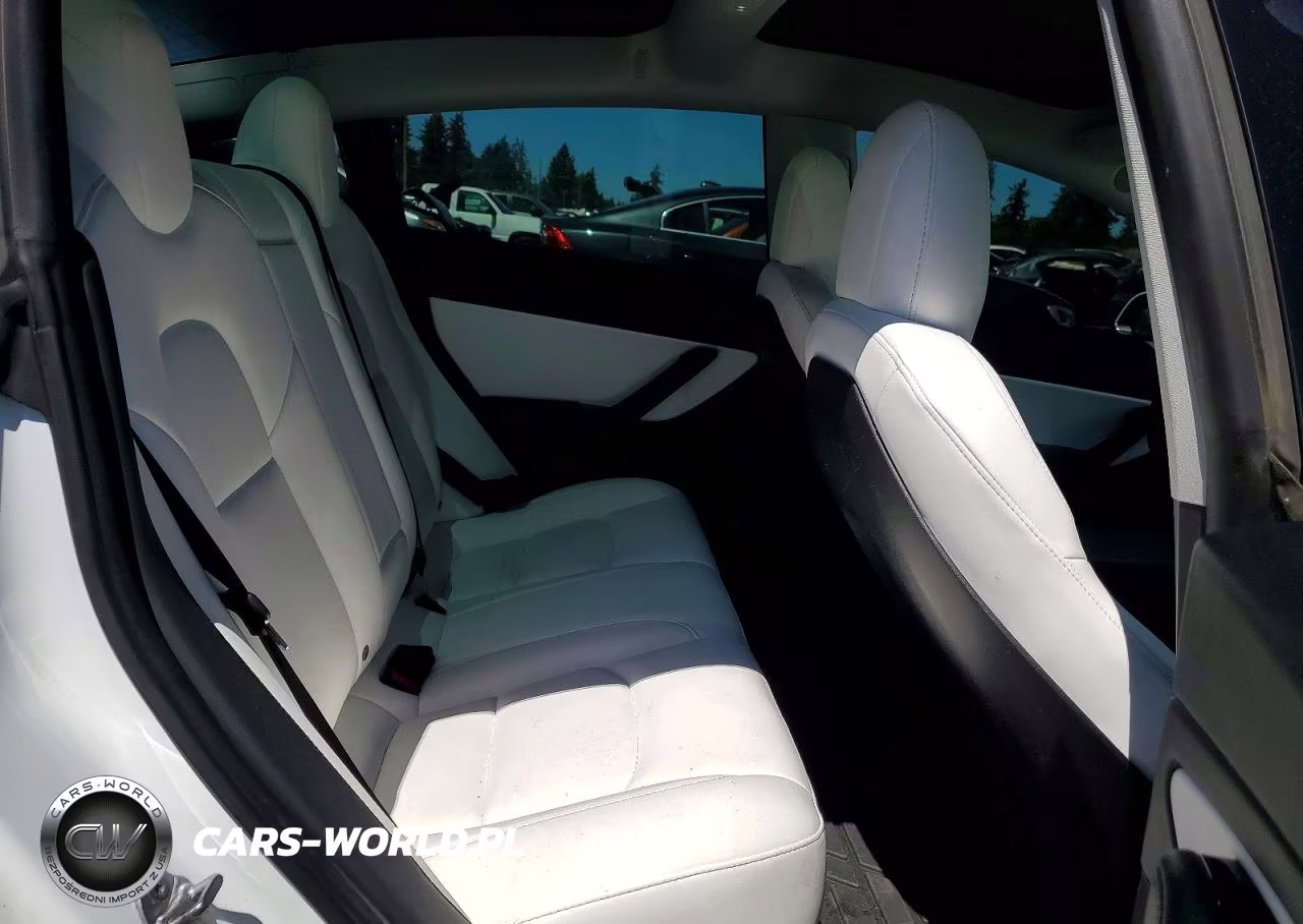 2020 Tesla Model 3 VIN:5YJ3E1EB2LF669004 - 10