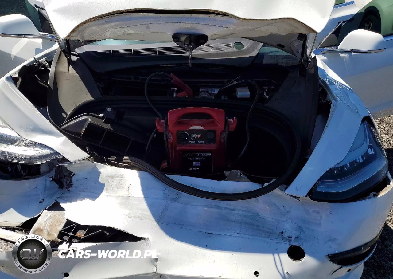 2020 Tesla Model 3 VIN:5YJ3E1EB2LF669004 - 11