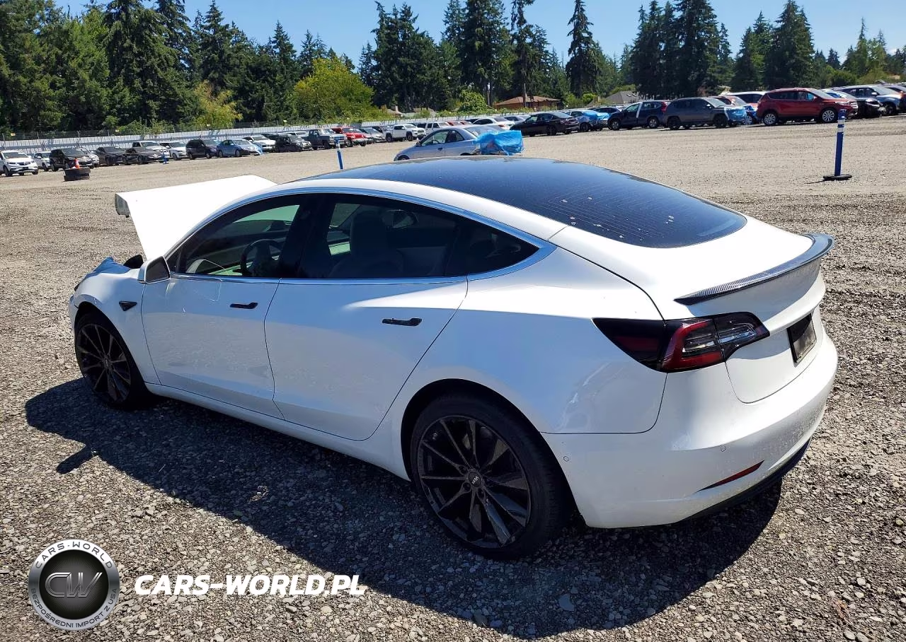 2020 Tesla Model 3 VIN:5YJ3E1EB2LF669004 - 2