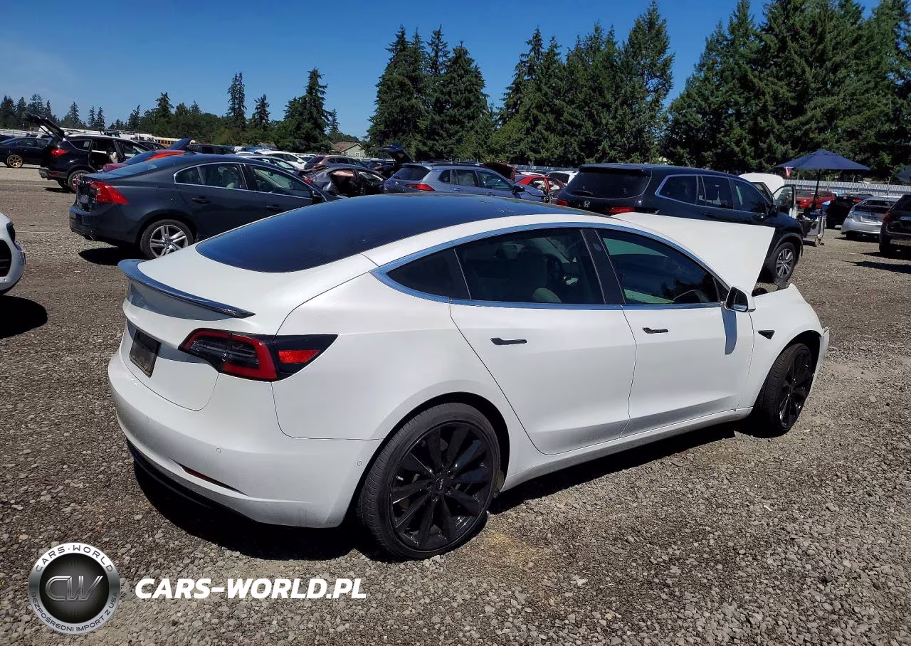 2020 Tesla Model 3 VIN:5YJ3E1EB2LF669004 - 3
