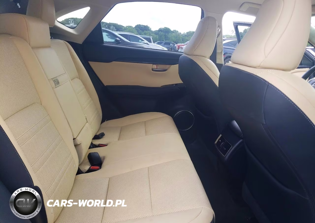2021 Lexus Nx 300 Base VIN:JTJDARDZ3M5020163 - 10