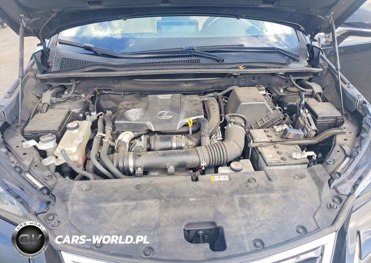 2021 Lexus Nx 300 Base VIN:JTJDARDZ3M5020163 - 11