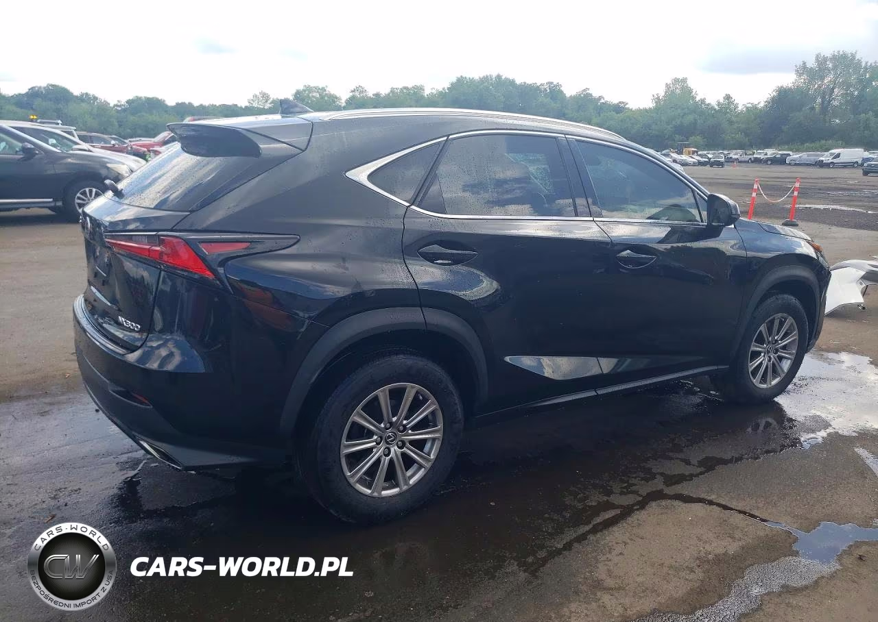 2021 Lexus Nx 300 Base VIN:JTJDARDZ3M5020163 - 3