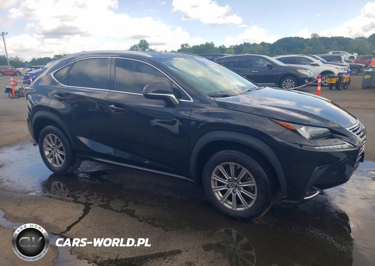 2021 Lexus Nx 300 Base VIN:JTJDARDZ3M5020163 - 4